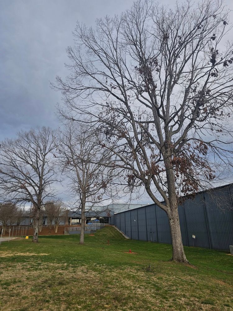 24/7 Storm Response for Sasquatch Tree Services LLC in Spartanburg, SC