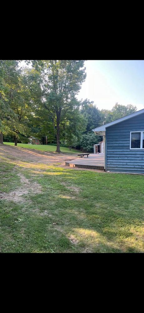 Tree Removal gallery for Hendricks Tree Service in Belleville, IL