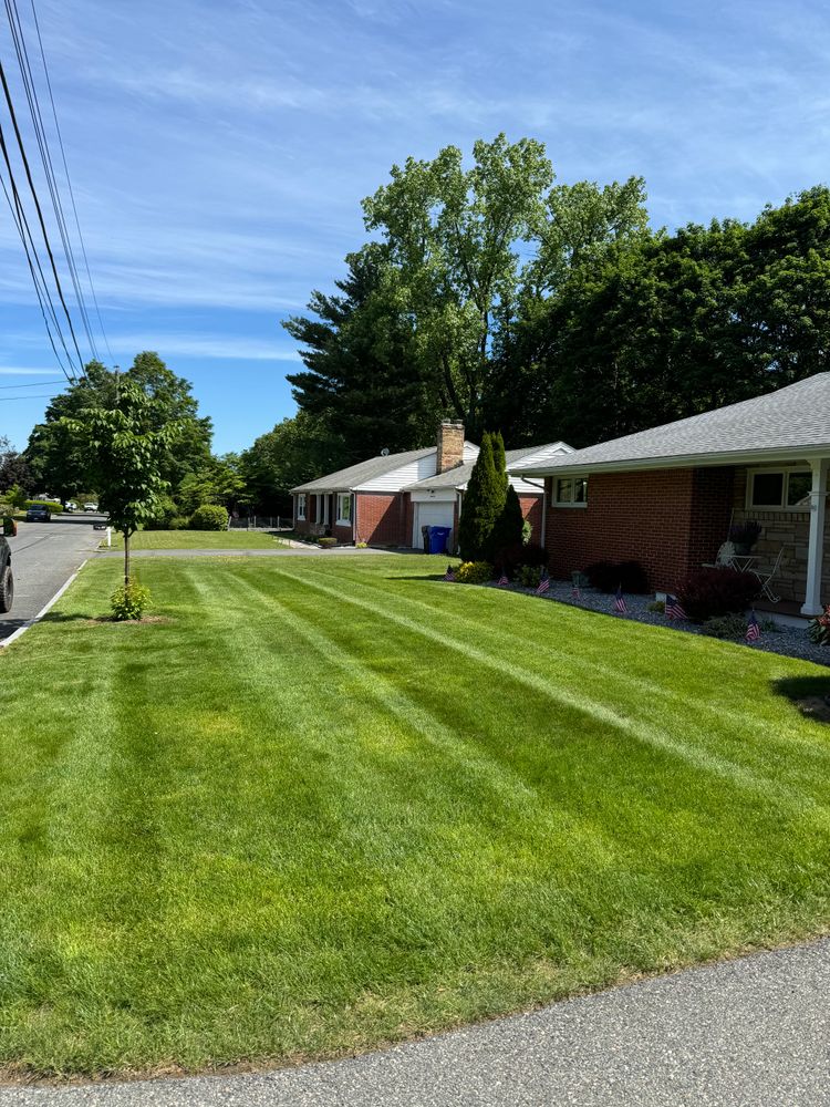 All Photos for Adams Landscaping in Springfield, MA