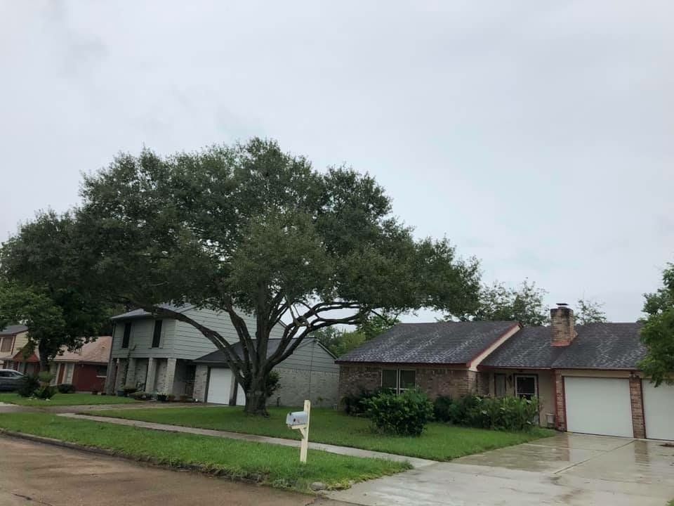 All Photos for Greenfield Tree Services in Manvel, TX