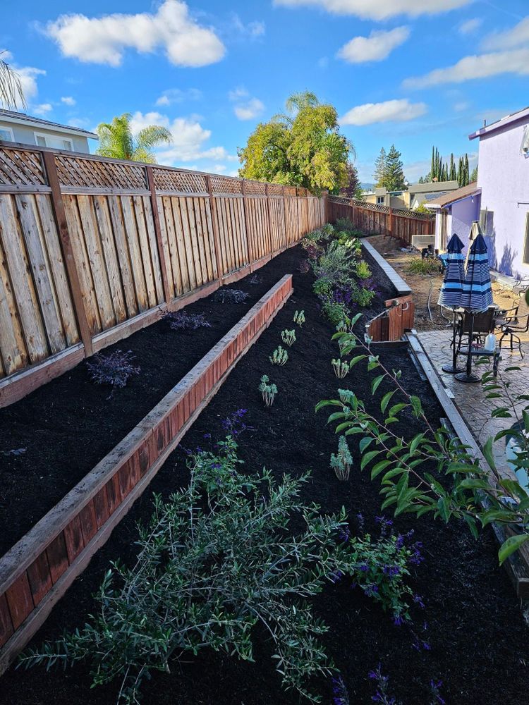 All Photos for Martin Stanko Landscape Construction in Livermore, CA