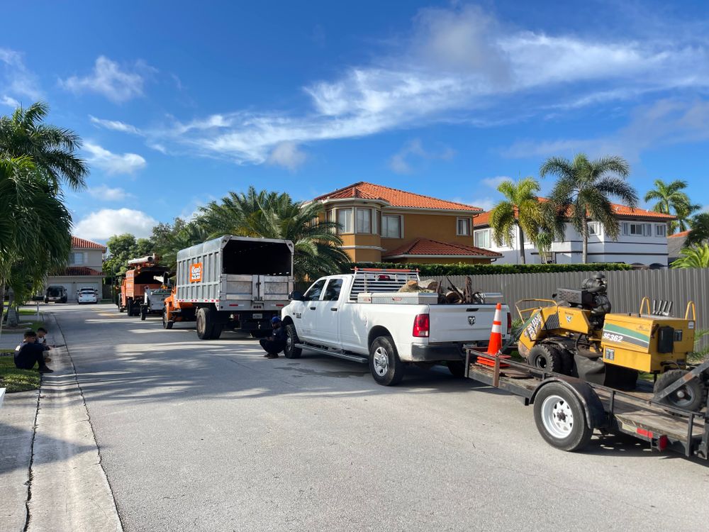 All Photos for Sam's Tree Service in Miami Beach,  FL