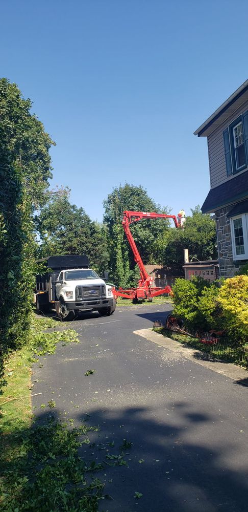Our Tree Risk Assessment service evaluates the health and stability of your trees, helping to prevent potential hazards and ensuring a safe, beautiful landscape for your home. for Freedom Outdoor Services in Glen Mills, PA