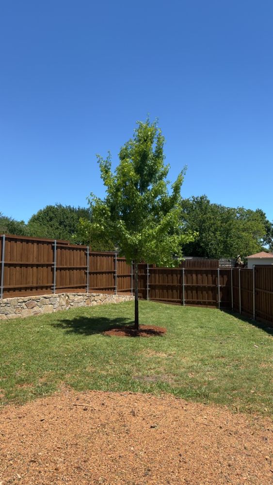 All Photos for Twin Oak Solutions in Carrollton, TX
