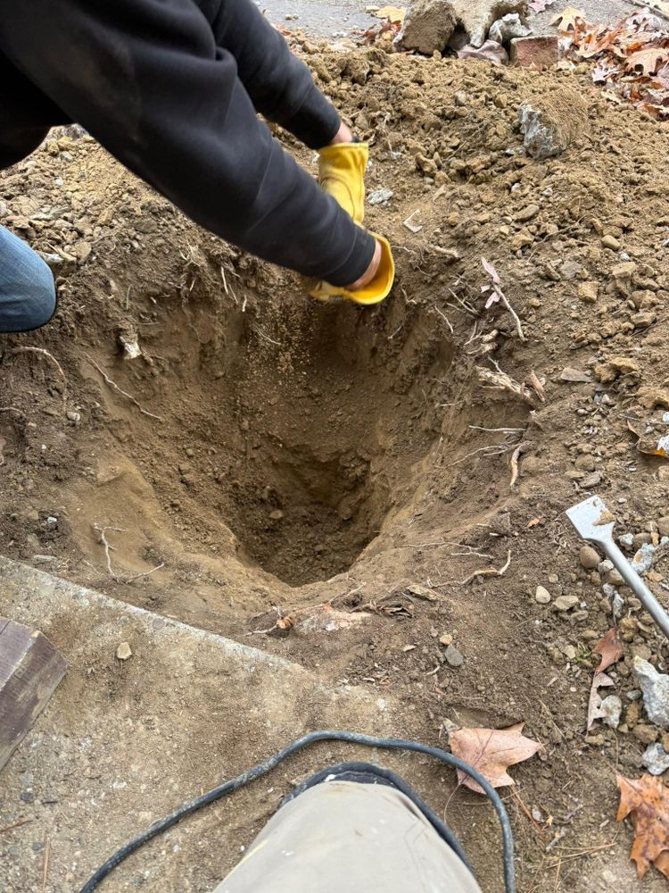 All Photos for Whitlow Construction in Georgetown,  PA