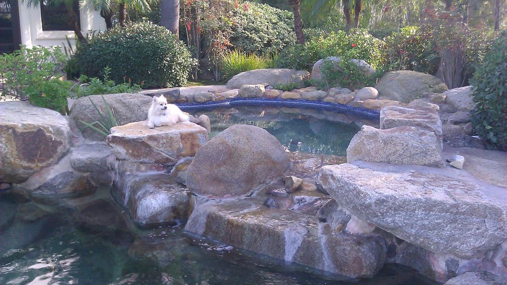 All Photos for Pool Perfection in Lake Havasu City, AZ