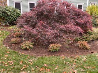 All Photos for New England Outdoor Living in Salisbury, MA