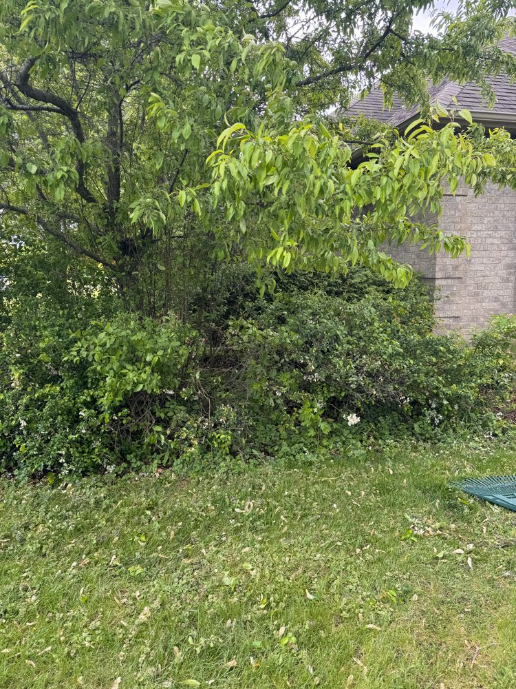 All Photos for H&L Lawn Care LLC in Twin Lakes, WI