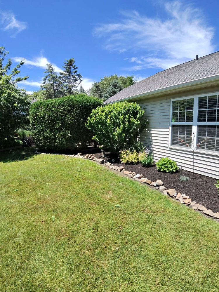 Yard Theory team in Willowick, OH - people or person