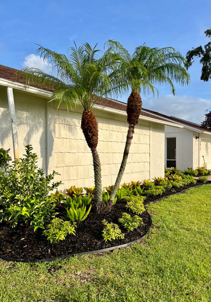 All Photos for Verimay's Garden and Landscaping in Hillsborough County, FL