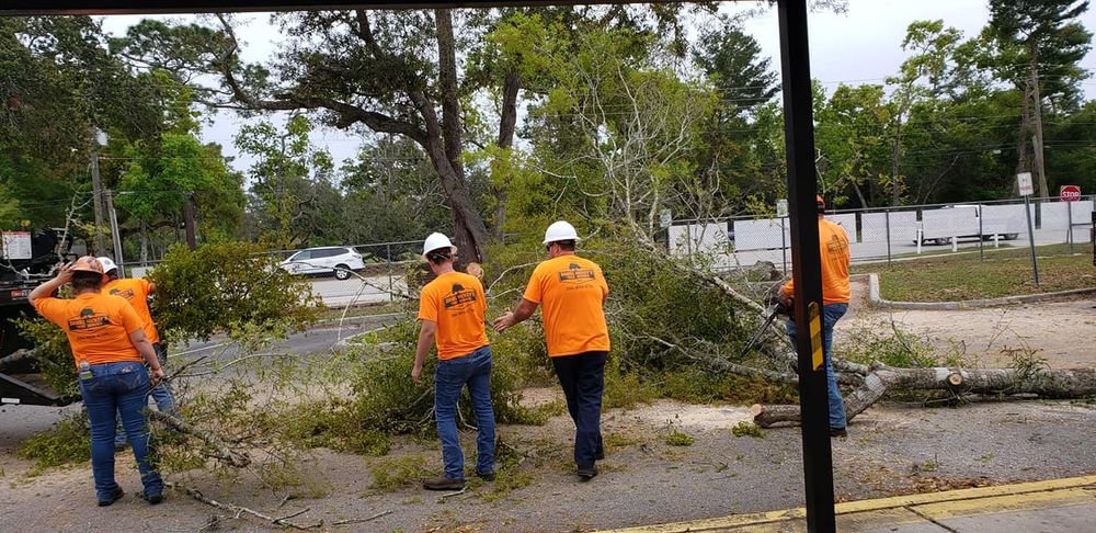 Tree Removal for Daniel Hickey’s Tree Service in DeLand, FL