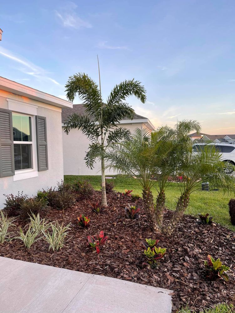 Landscaping for Plant World LLC in Cape Coral, FL