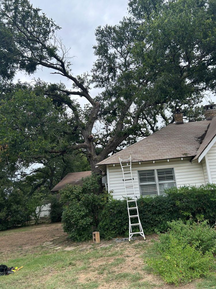 All Photos for Teague Trees and Land Clearing in Rendon, TX
