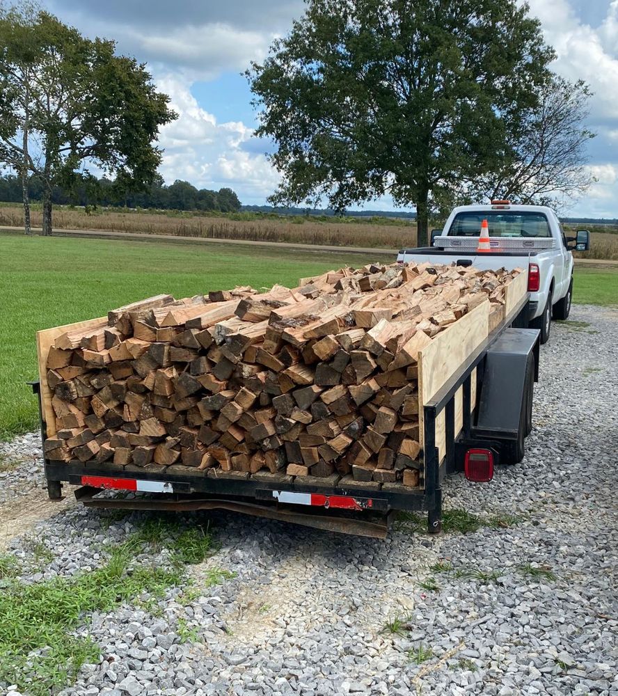 Tree Removal for Action Tree & Debris Removal in Jackson,  MS