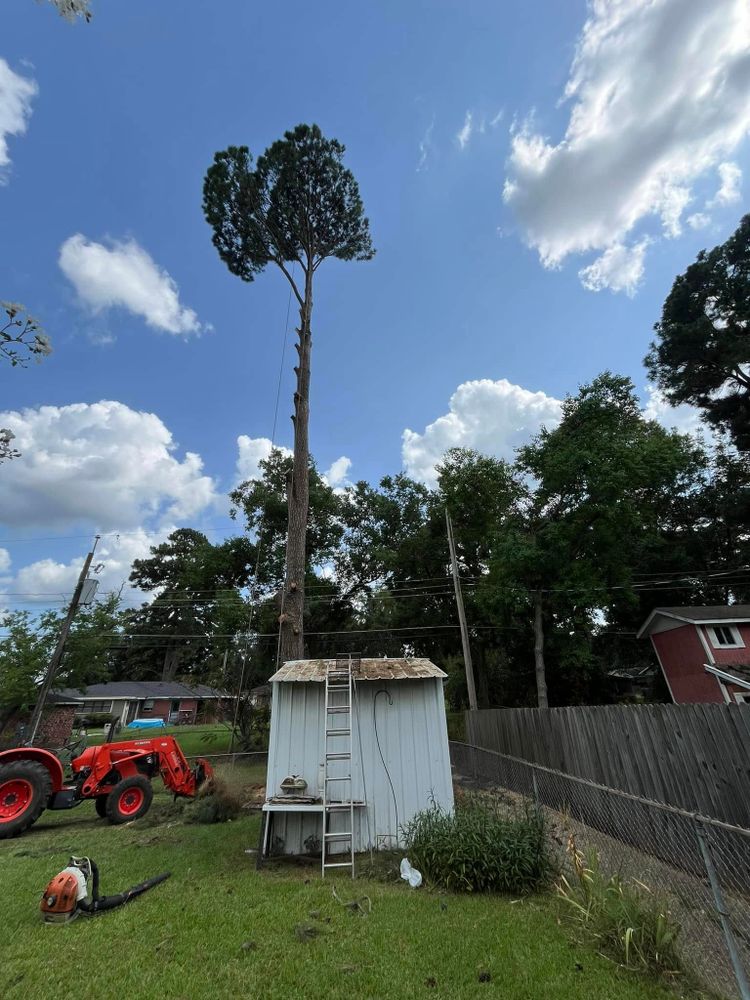All Photos for JC Land and Tree Service in Kilgore, TX