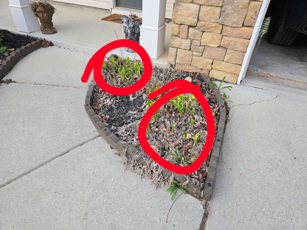 All Photos for Williams Brothers Landscaping & Construction in Atlanta, GA