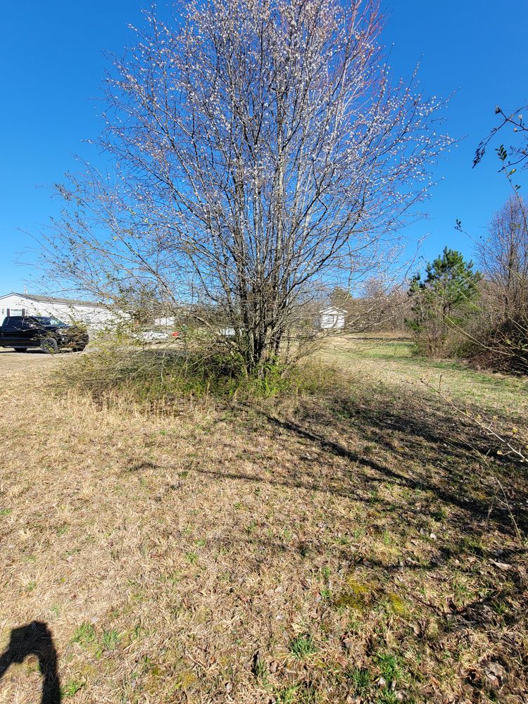 All Photos for Z's Land Management & Forestry Mulching in Smithville, TN