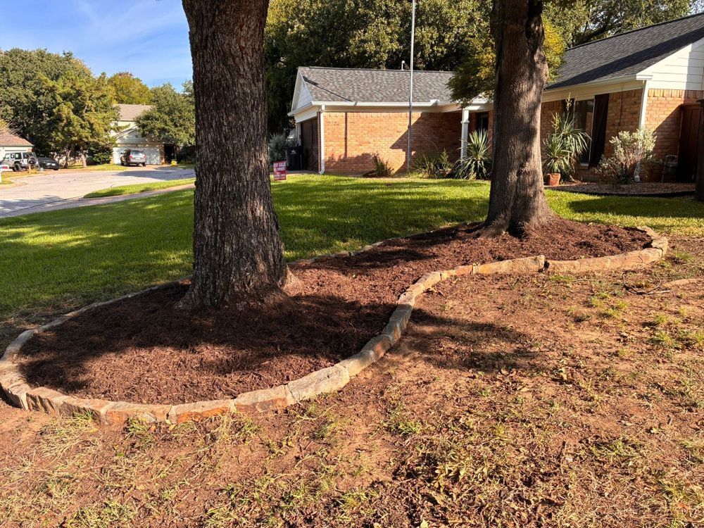 All Photos for Blu-J Tree Care in Arlington, TX