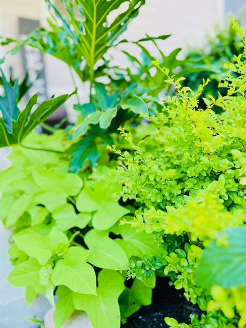 All Photos for Rustic Roots Landscaping in Austin, TX