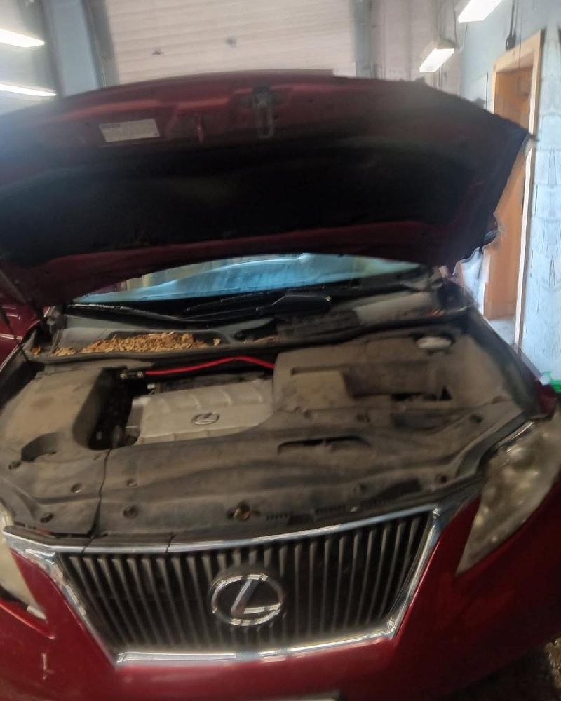 All Photos for Luxury Auto Detail in Peoria, IL