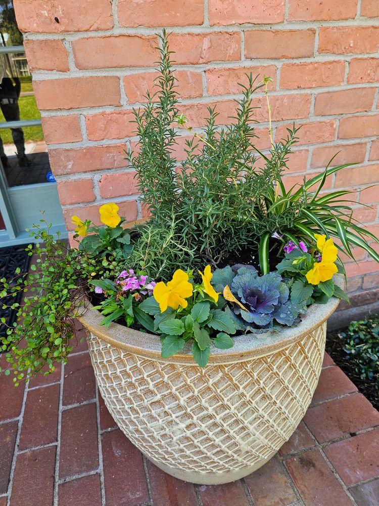 Landscaping for Bruno's Professional Lawn's & Landscape in Beaumont, TX