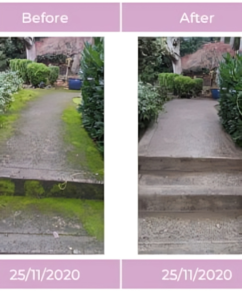 All Photos for Helpful Badger in Portland, OR