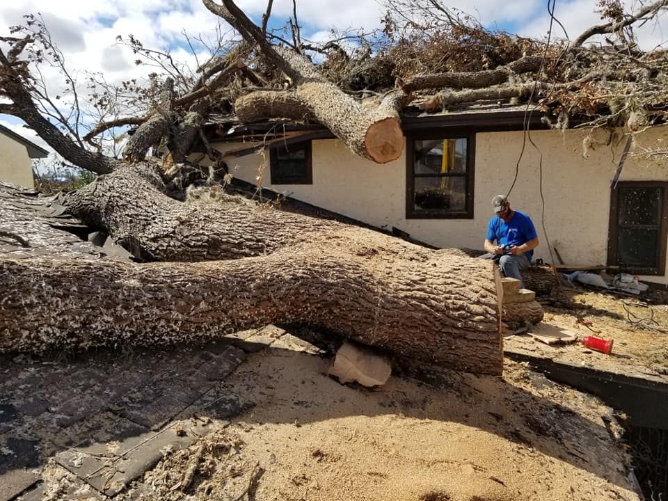 Tree Removal for Spruce Creek Tree Service in Port Orange, FL