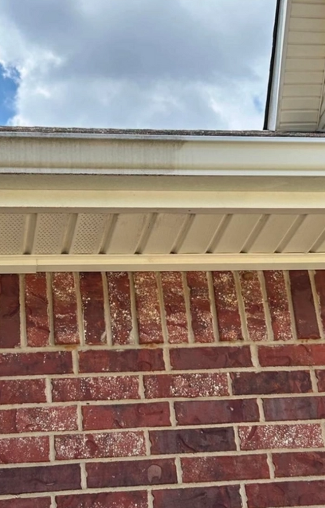 All Photos for Patriotic Pressure Washing & Paver Sealing in Green Cove Springs, FL