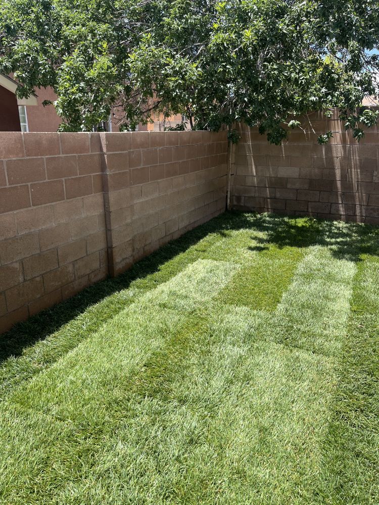 All Photos for 2 Brothers Landscaping in Albuquerque, NM