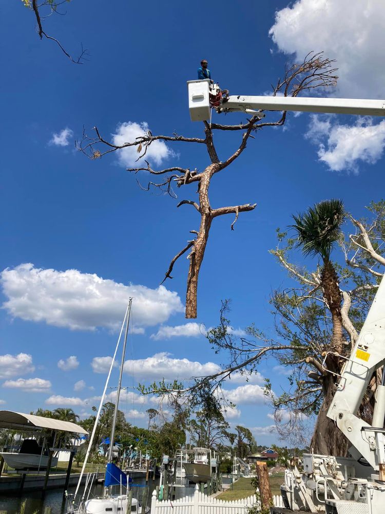 All Photos for Lemon Bay Tree Service  in Englewood, FL