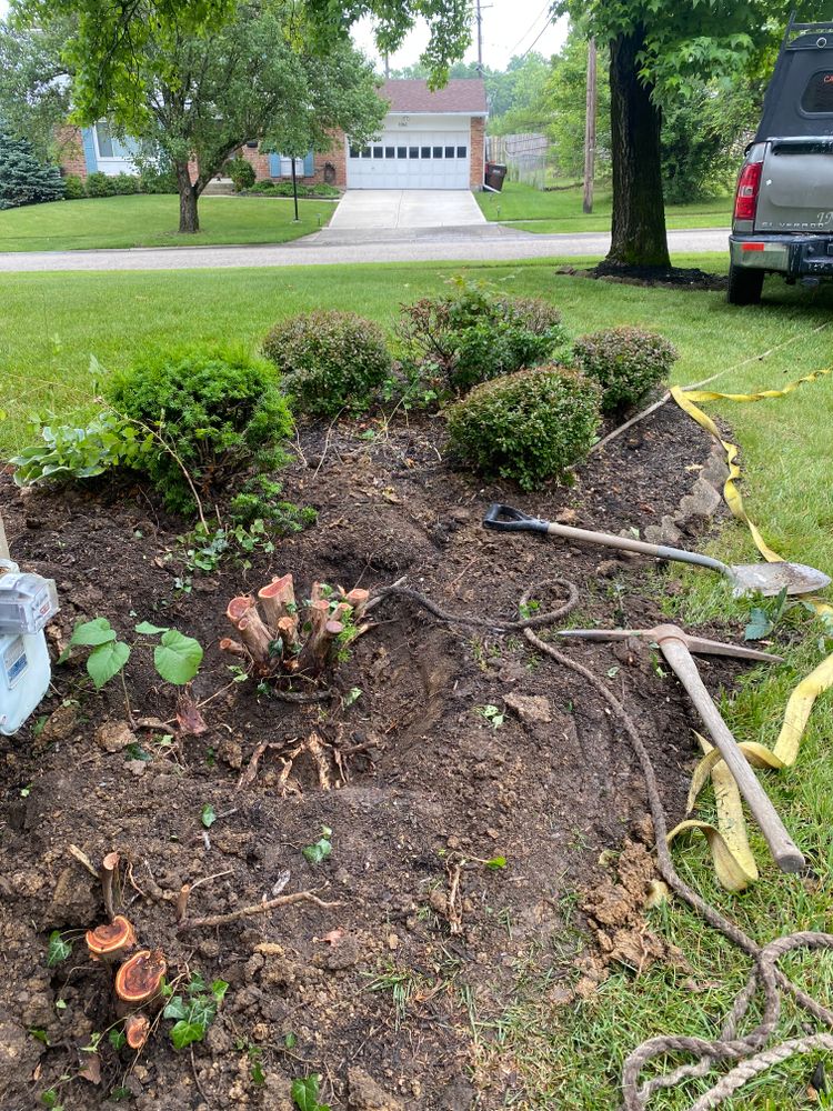 All Photos for Castle JR Landscaping & Painting LLC in Cincinnati, OH