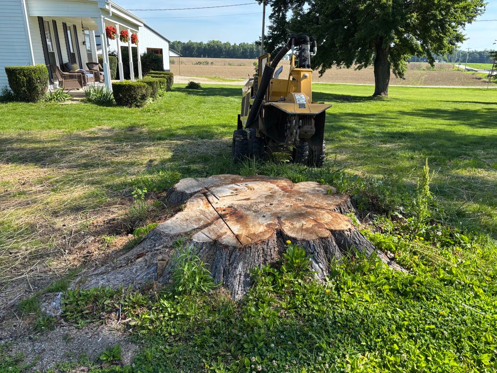 All Photos for Conrad's Stump Removal in Columbus, IN