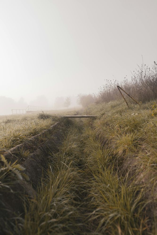 Our Ditch Work service efficiently clears and maintains drainage ditches, ensuring effective water flow and preventing property damage. Trust our skilled team to keep your land safe from erosion and flooding. for Maverick's Land Services  in Elwood, IN