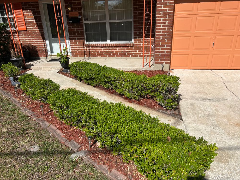 All Photos for Project Masters Group in Tampa, FL