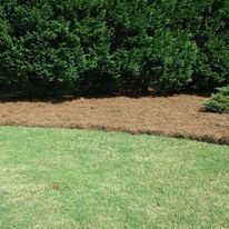 Our Pine Straw Installation service provides a natural and protective layer to your landscape beds, enhancing the beauty of your home. for Terra Bites Lawn Service in Jefferson, GA