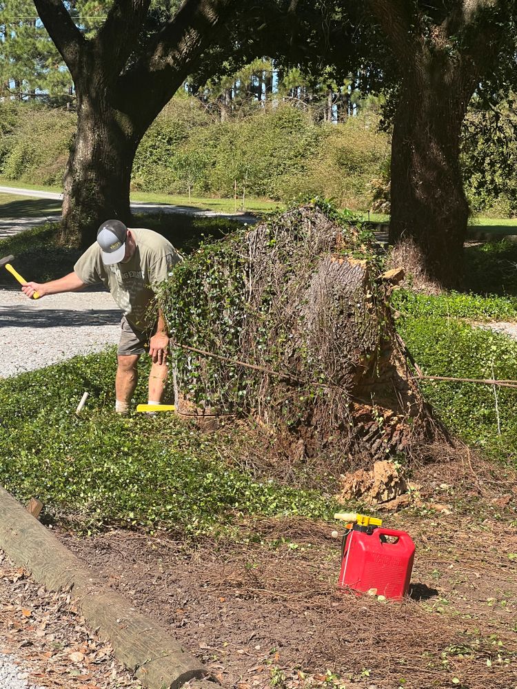 All Photos for Southern Venom Services in Daphne, AL