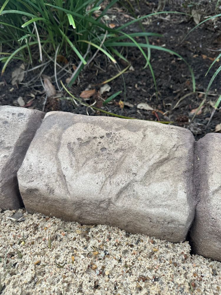 All Photos for Texas Curb N Borders in Houston, TX