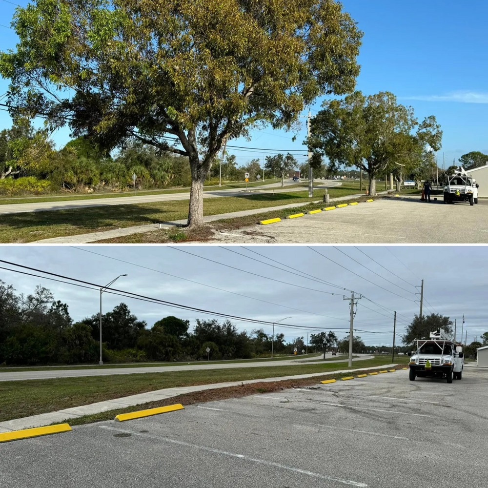 Tree Removal for Lemon Bay Tree Service  in Englewood, FL