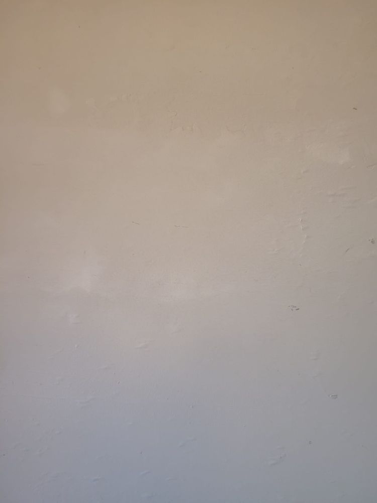 240 n 22nd for Prairie Land Properties LLC in Lubbock, TX
