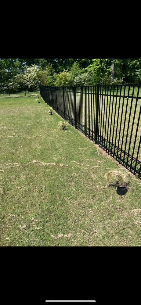 All Photos for WD Lawn Services in Loganville, GA