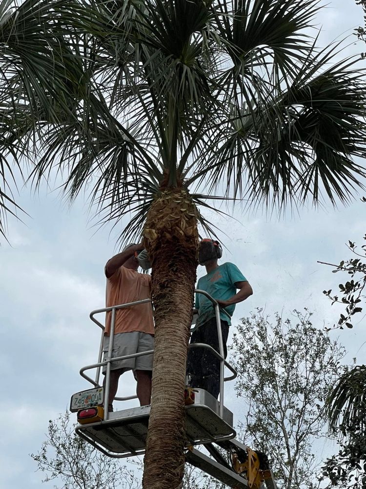 All Photos for Nick of Time Tree Service in North Port, FL