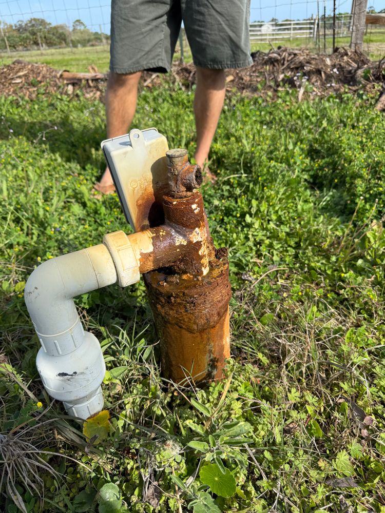 All Photos for Aside from the Rest in Port Orange, FL