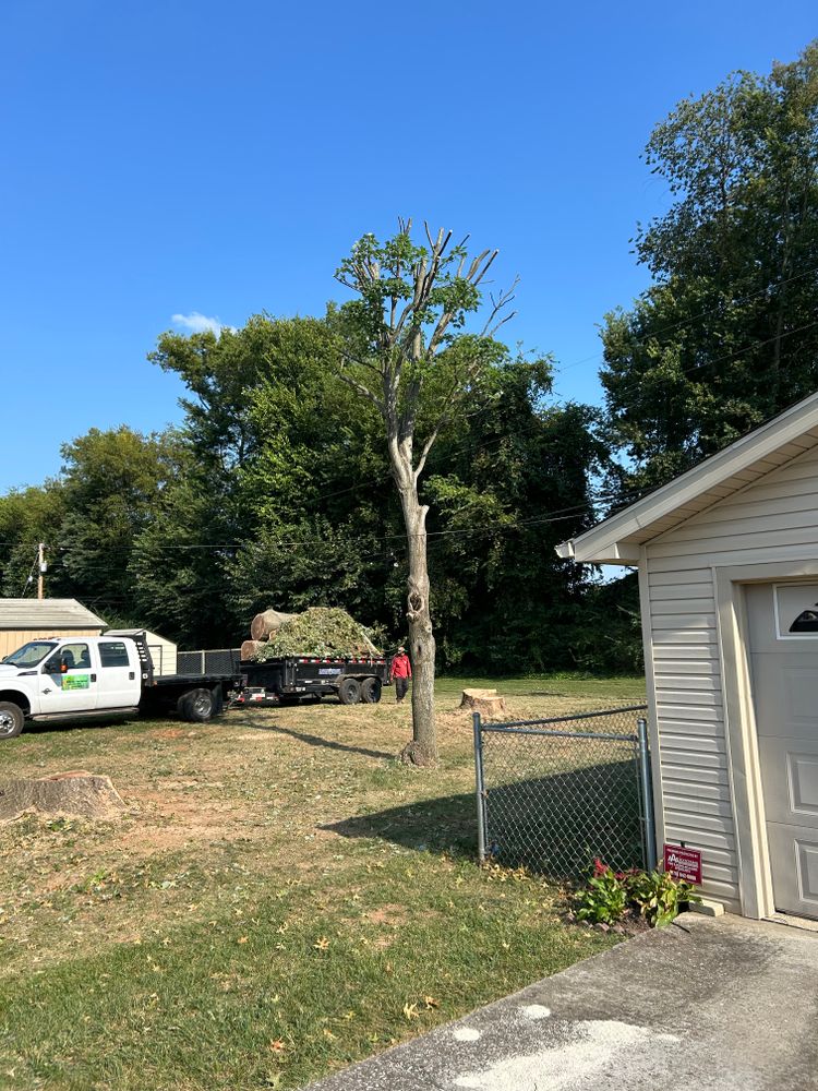 All Photos for Optimum Tree Service And Landscaping in Bowling Green, KY