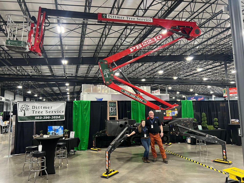 All Photos for Dittmer Tree Service in Davenport, IA