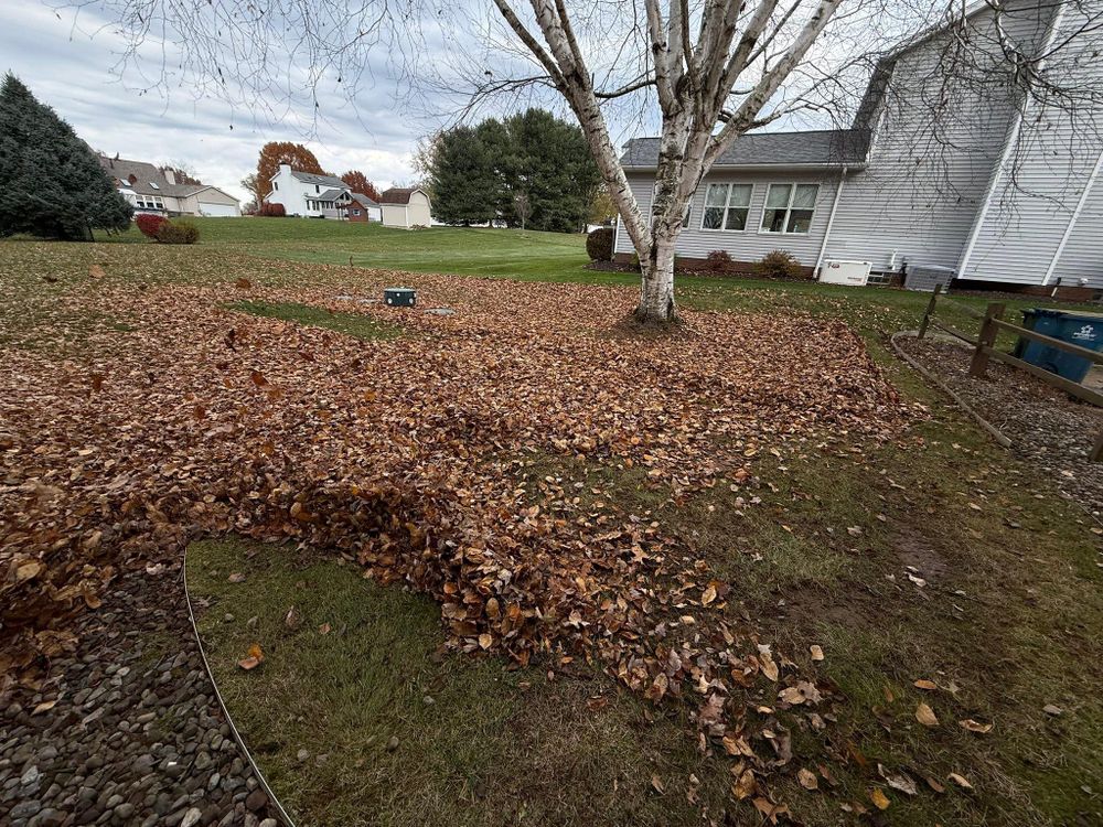 All Photos for Tactical Stripes Lawn care in Uniontown, OH