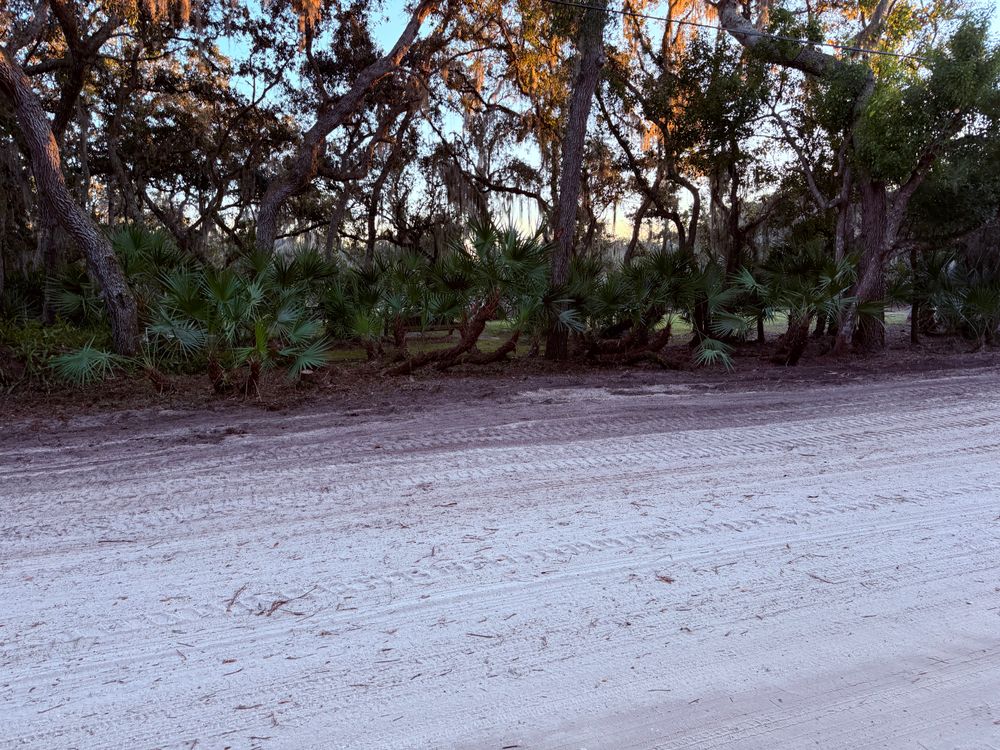 All Photos for Amerigrown Tree And Lawn in Apopka, FL