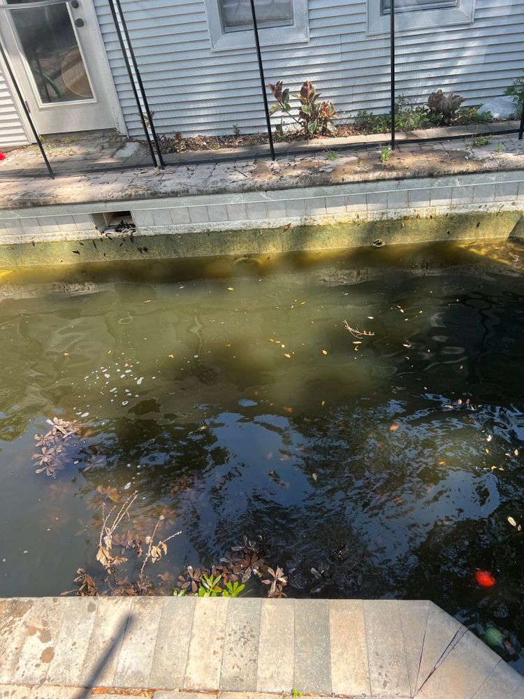 All Photos for Blue Bay Pools in Tampa, FL