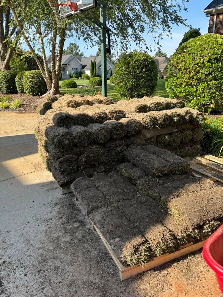 Transform your lawn with our professional sod install service. While you're planning, explore our reliable "Christmas lights installation near me" to brighten your home during the festive season. for Upstate Precision Landscaping in Moore, SC