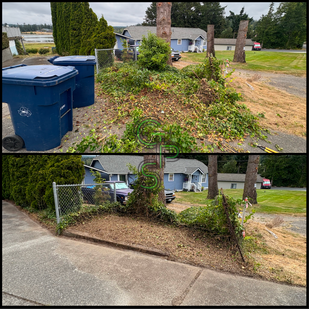 Fall Clean Up for Golovin Property Services LLC in Marysville, WA