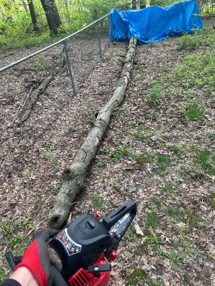 Tree Removal for Blakescape in Elkhart, IN